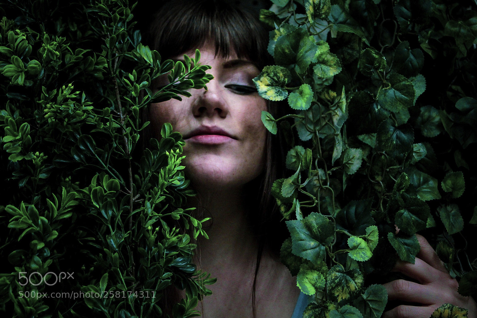 Canon EOS 550D (EOS Rebel T2i / EOS Kiss X4) sample photo. Jungle abby photography