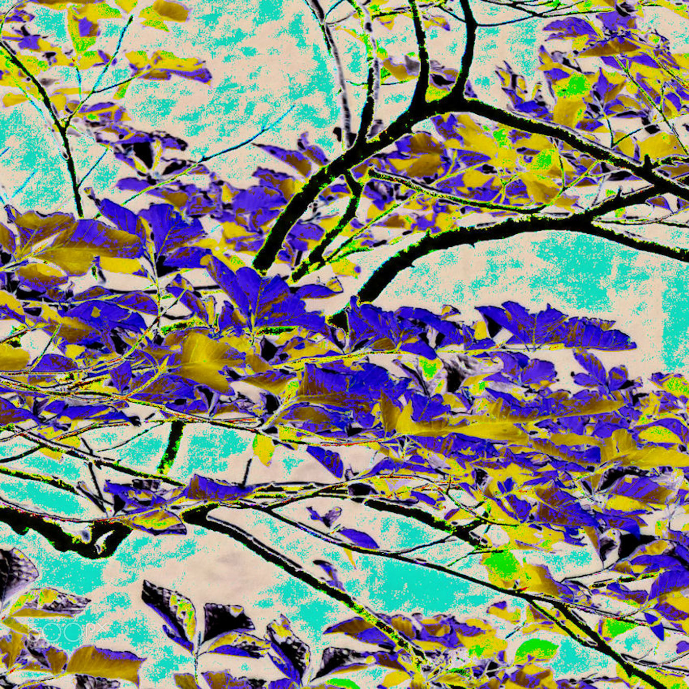 Panasonic Lumix DMC-ZS50 (Lumix DMC-TZ70) sample photo. Beech leaves photography