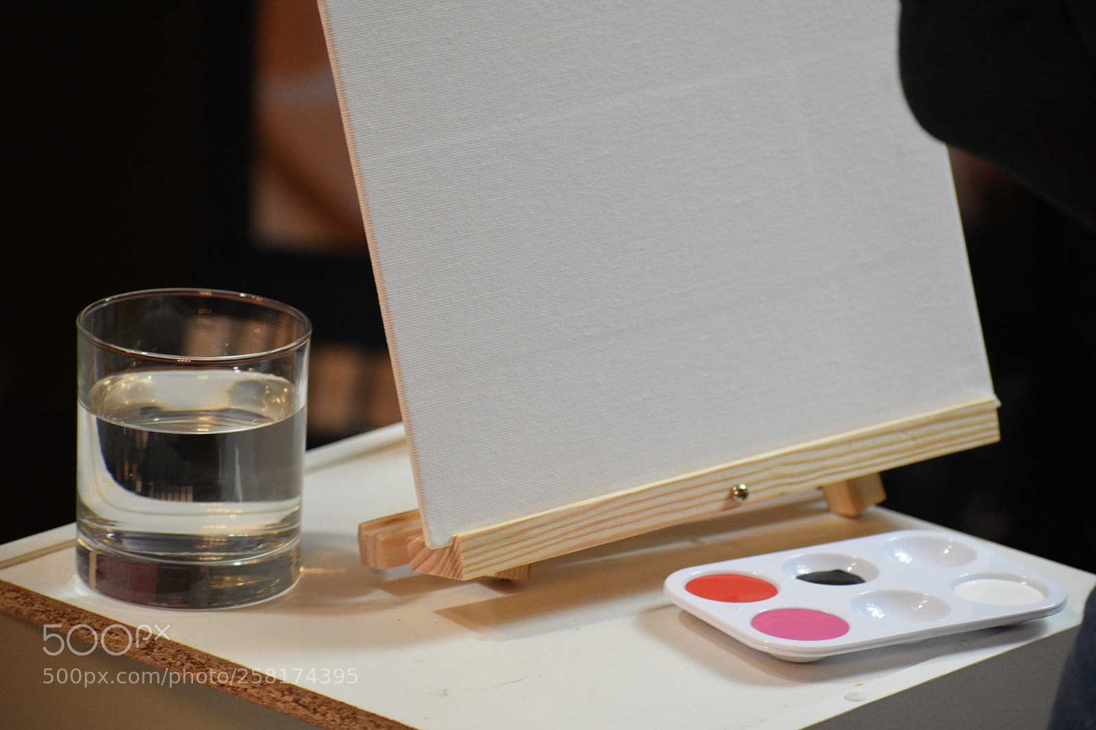 Nikon D5600 sample photo. Paint & sip photography