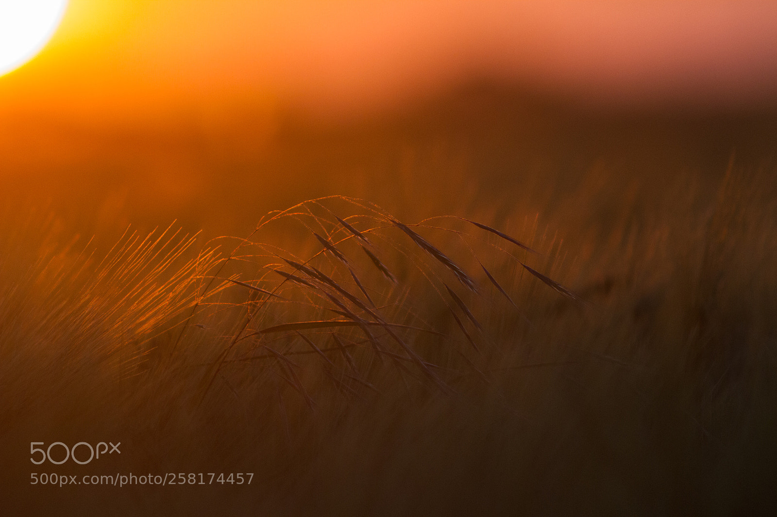 Canon EOS 7D sample photo. Morning 2 photography