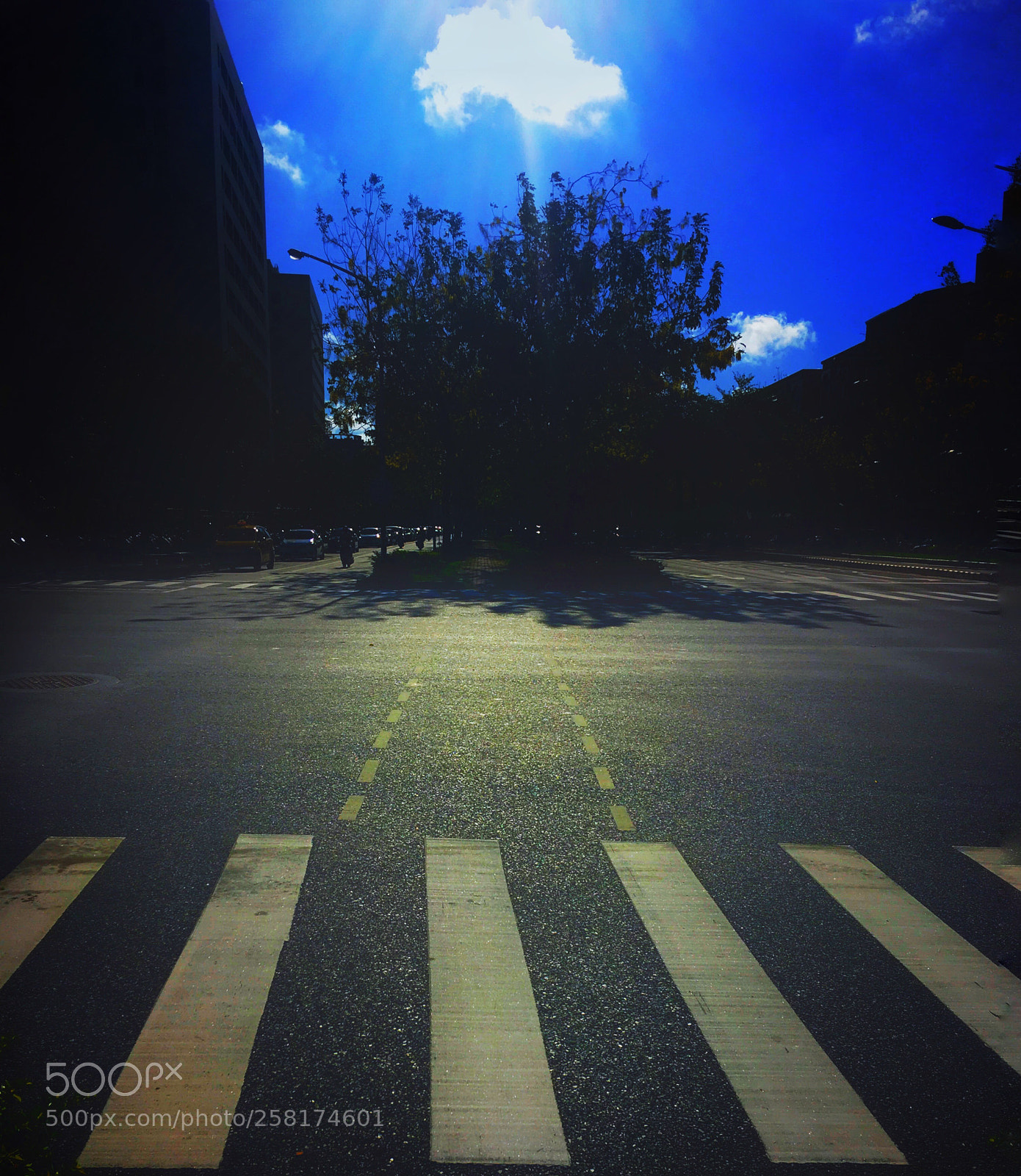 Apple iPhone SE sample photo. Tainan photography