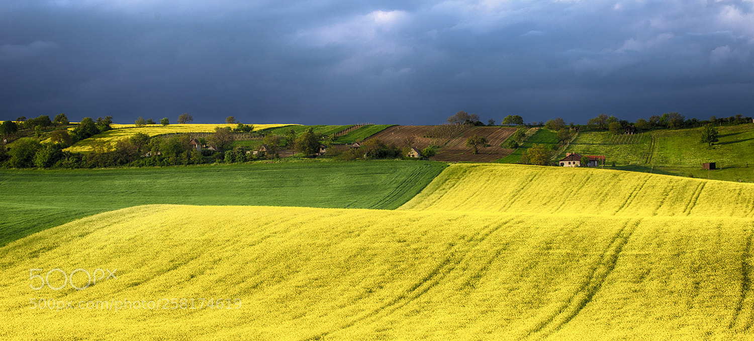 Nikon D610 sample photo. Spring waves photography