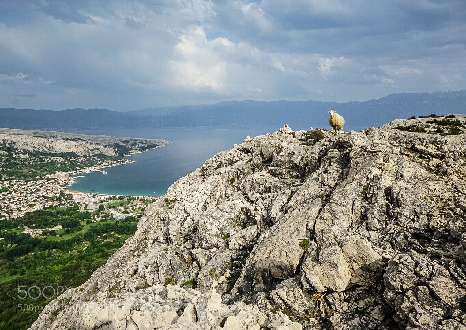 Sony a6000 sample photo. Mountain sheep photography
