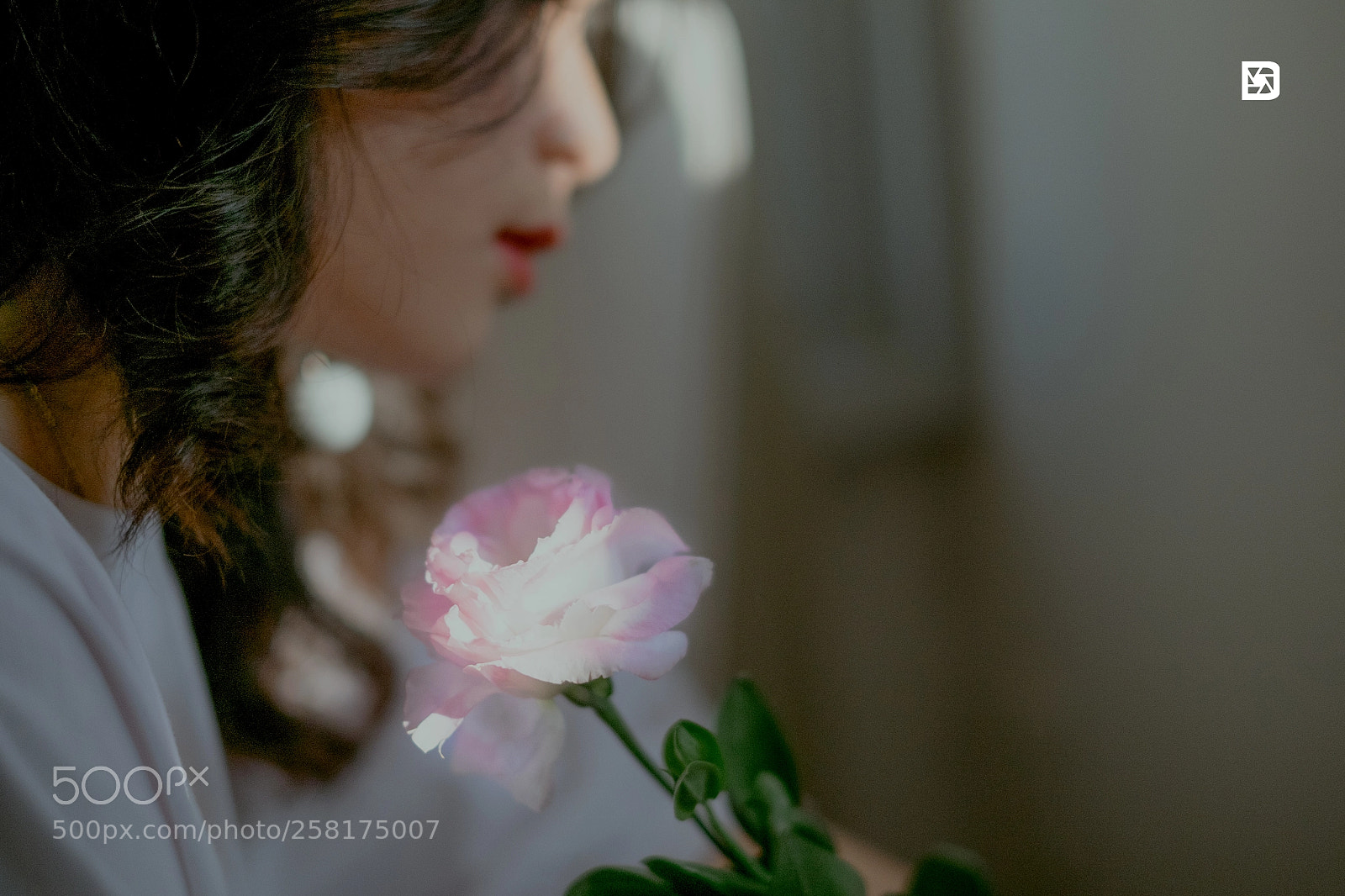 Fujifilm X-T1 sample photo. Sun and flower photography