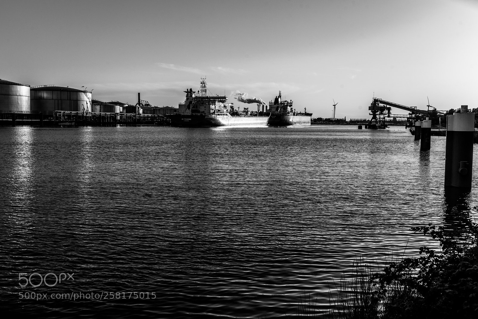 Nikon D750 sample photo. Oil or coal photography