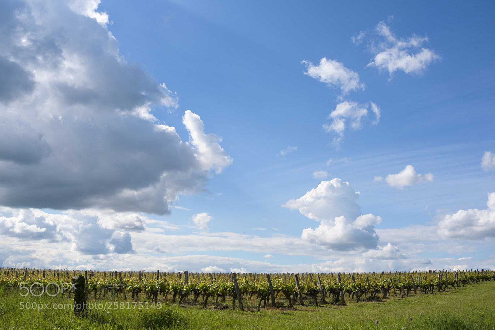 Nikon D750 sample photo. Anjou village photography