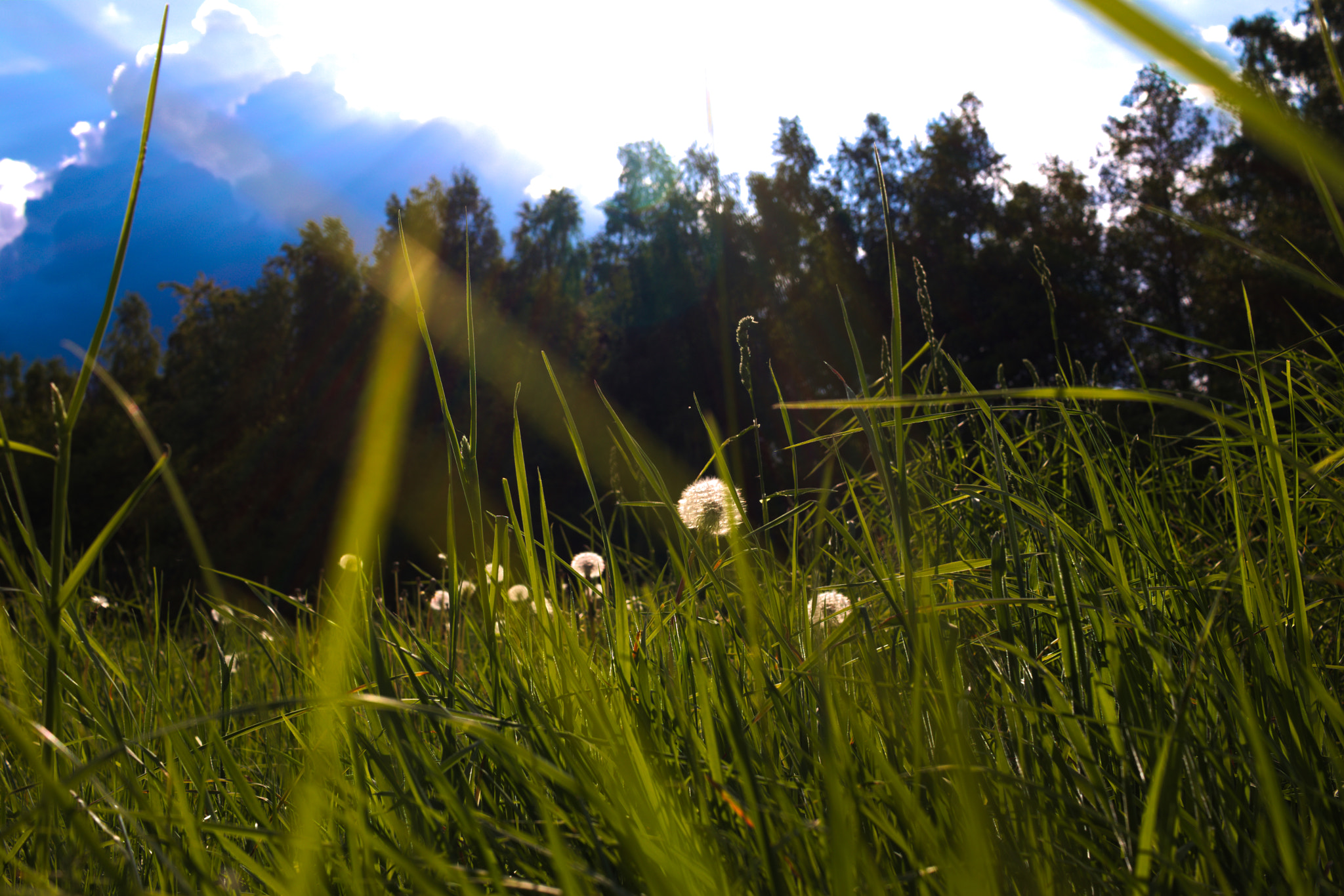 Canon EF-S 24mm F2.8 STM sample photo