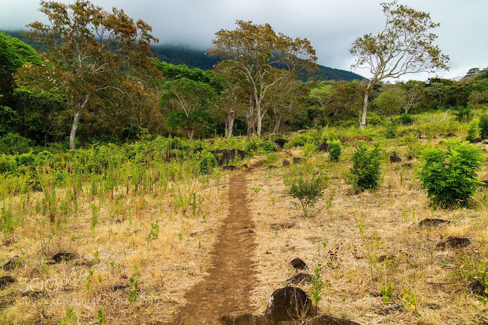 Canon EOS M3 sample photo. Hiking trail photography