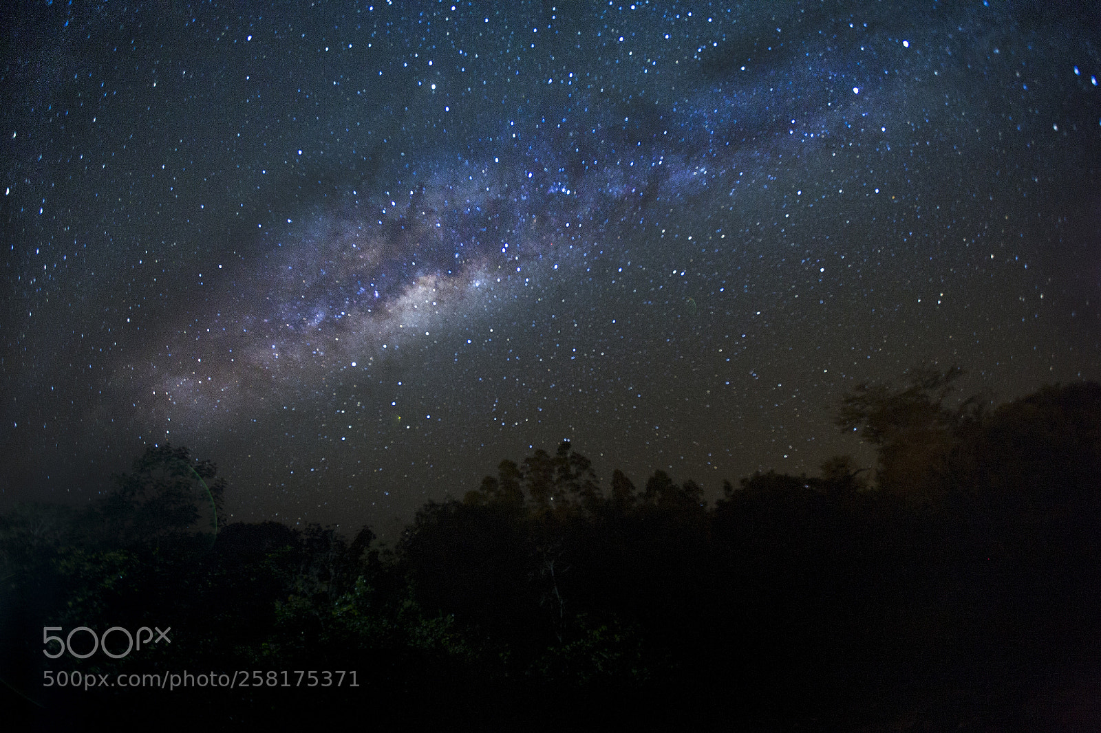 Canon EOS 5D sample photo. Milk way photography