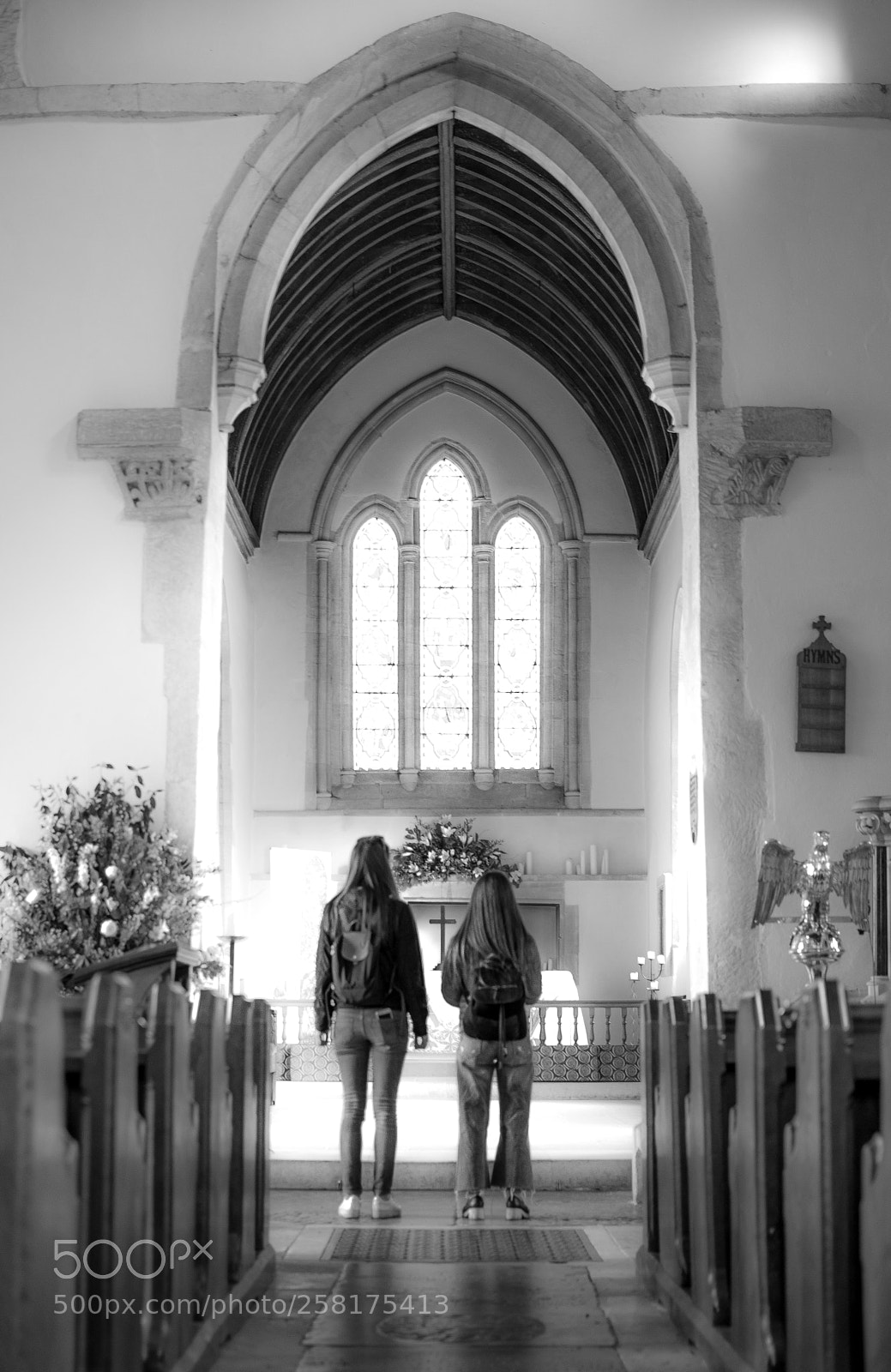 Nikon D5500 sample photo. Higher power photography