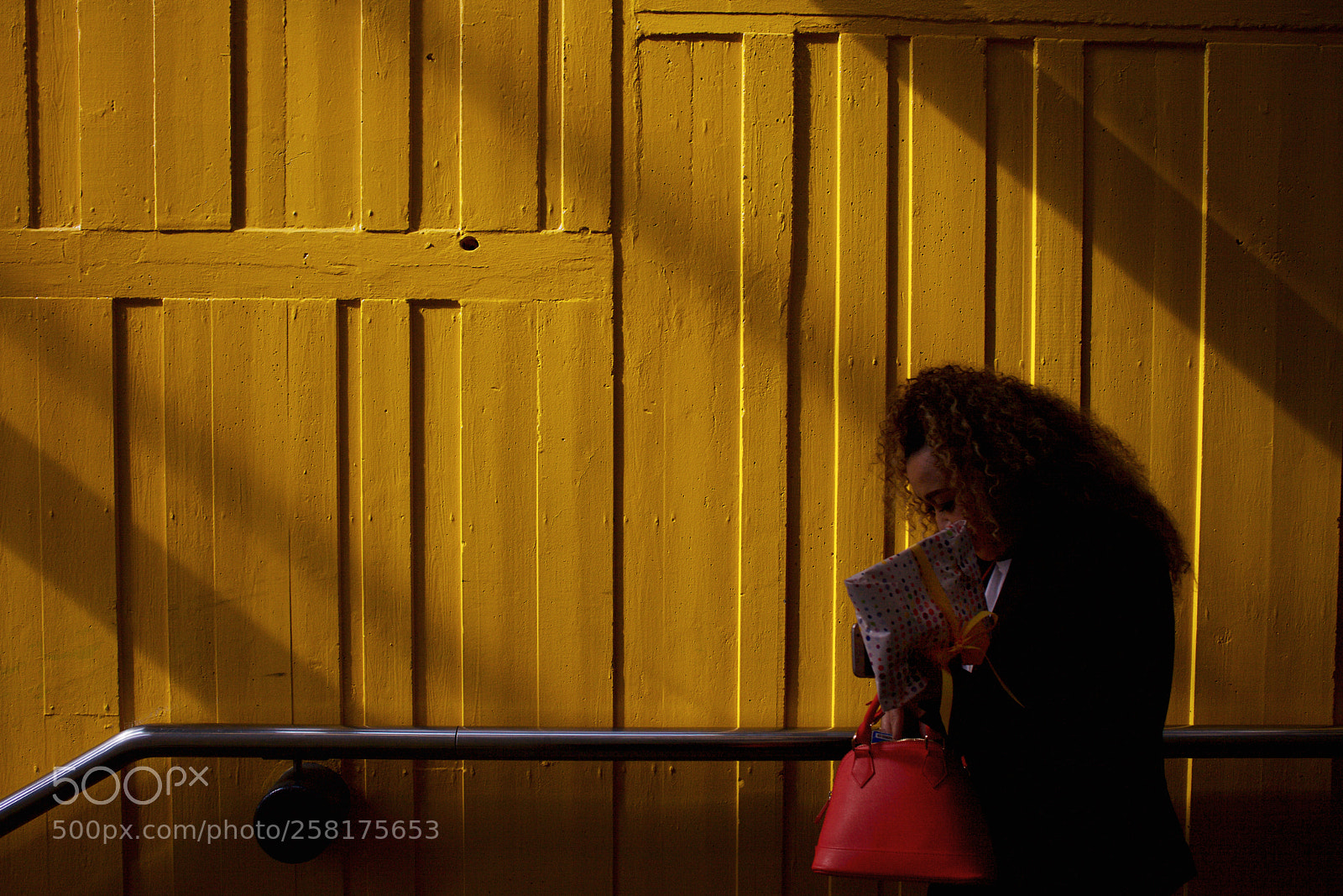 Canon EOS 5D Mark II sample photo. Amsterdam yellow and red photography