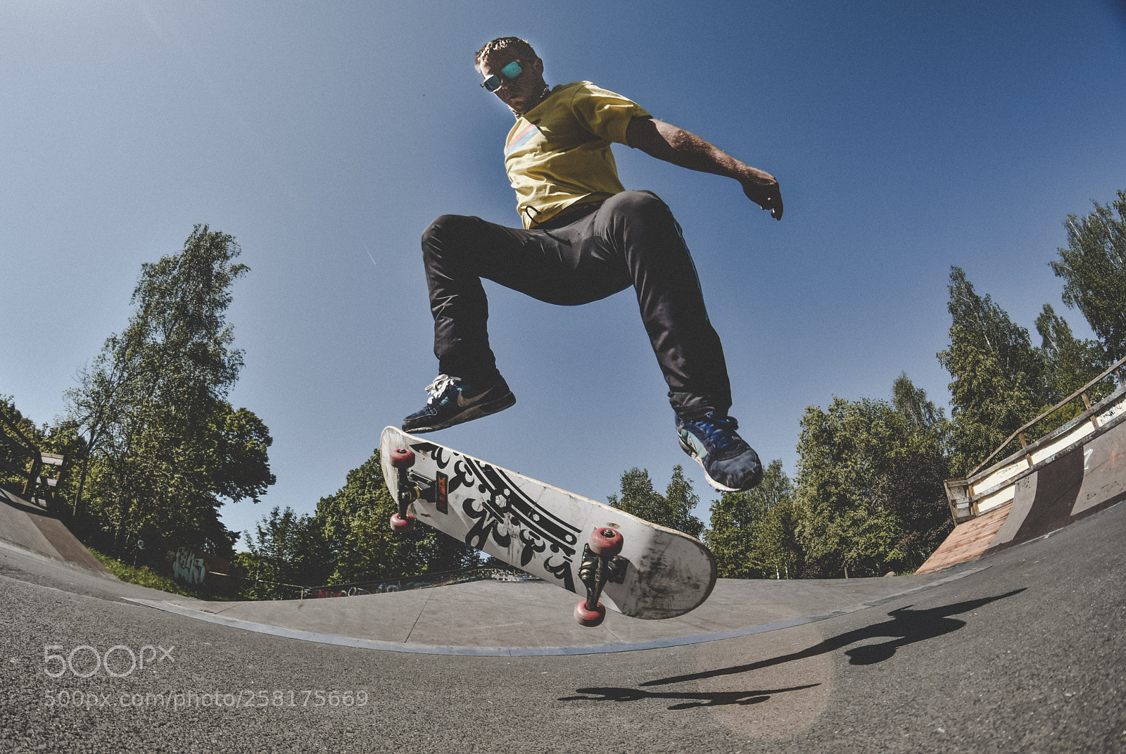 Nikon D7200 sample photo. Skate snake photography