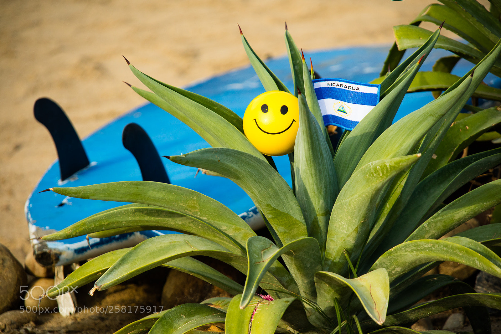 Canon EOS M3 sample photo. Wilson photography