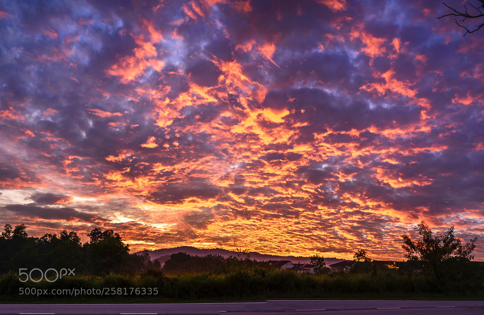 Nikon D610 sample photo. Fire in the sky photography
