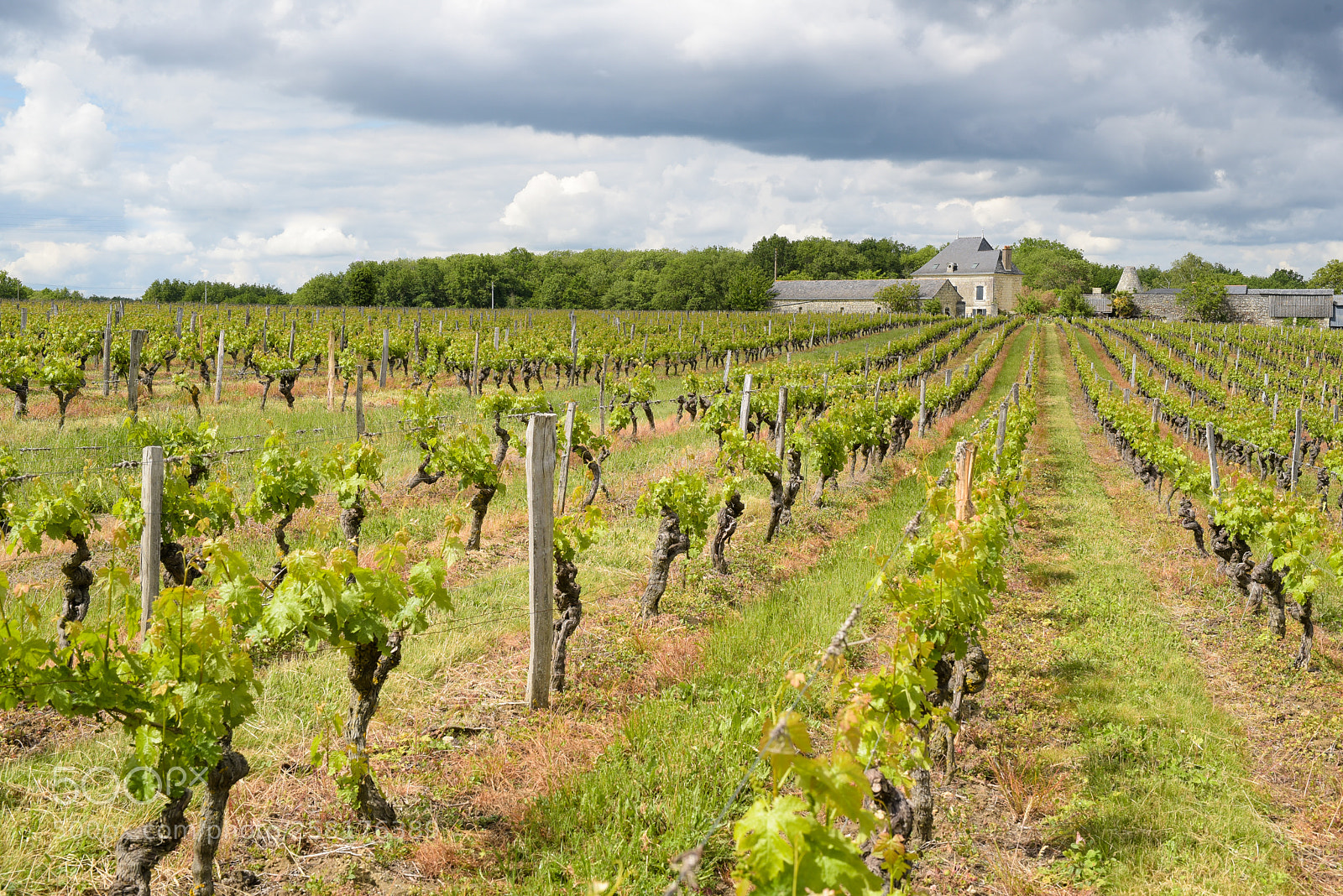 Nikon D750 sample photo. Le vieux moulin photography