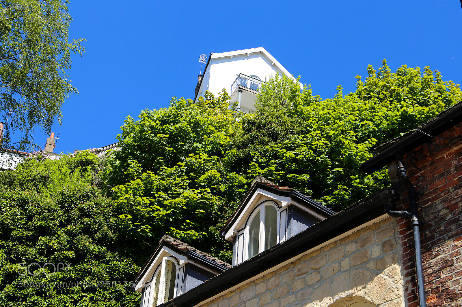 Canon EOS 6D sample photo. Tree house? photography