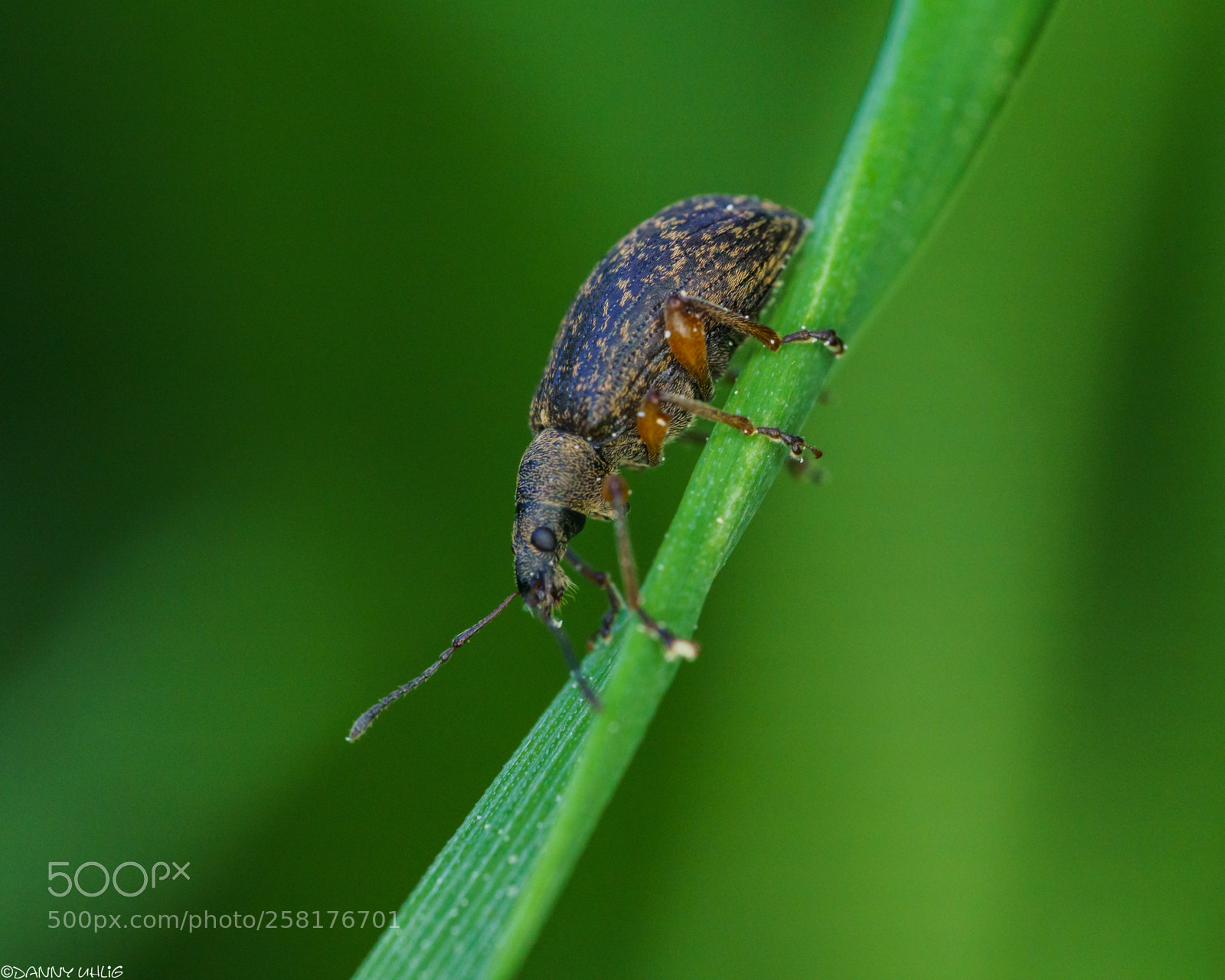Sony a6000 sample photo. _dsc9374.jpg photography
