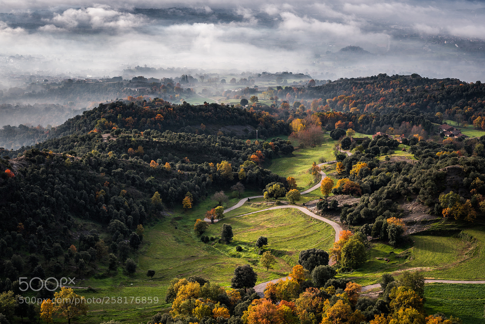 Nikon D750 sample photo. Bellmunt impressions photography