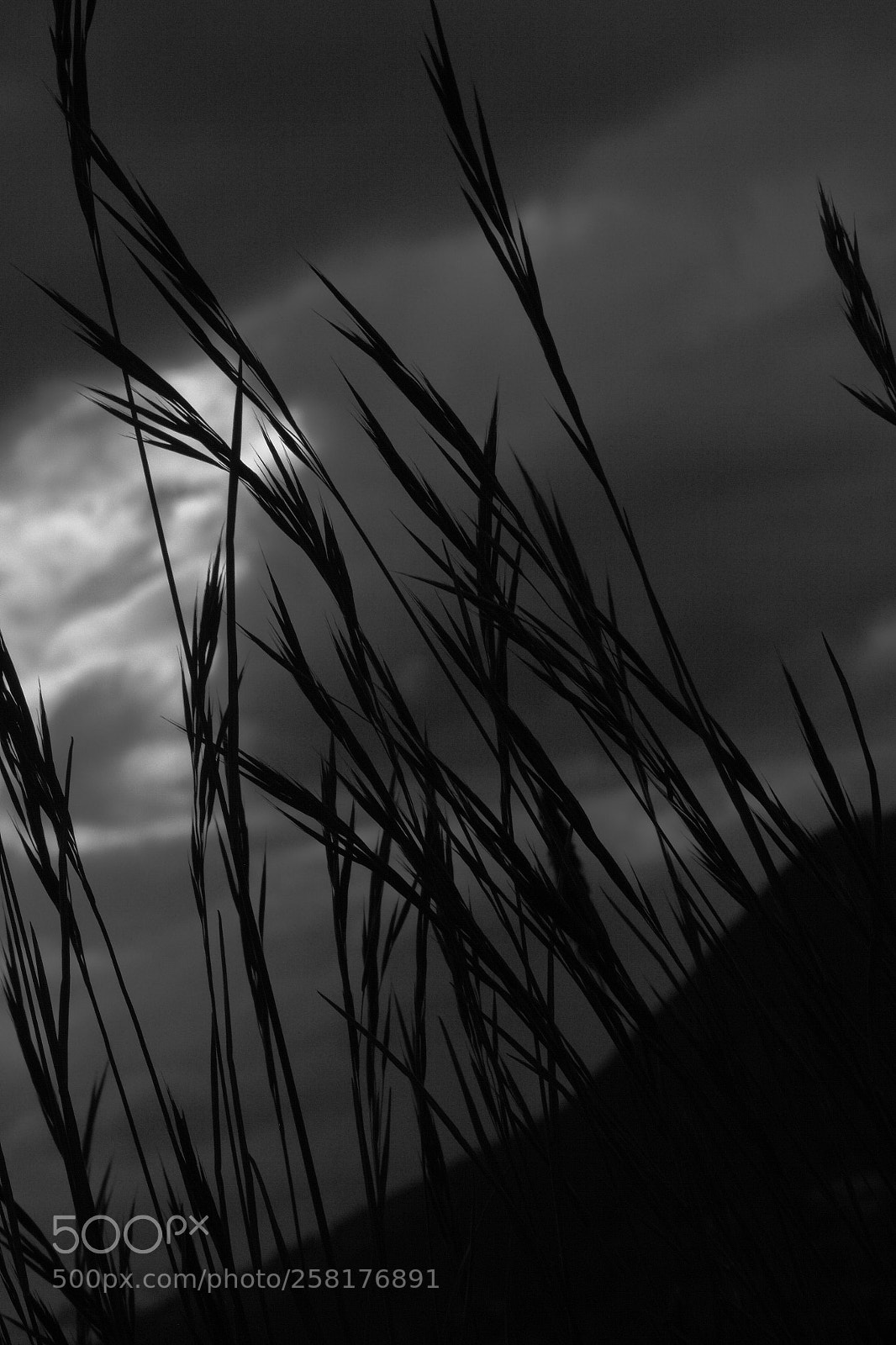 Canon EOS 5D Mark II sample photo. Vue dans bas photography