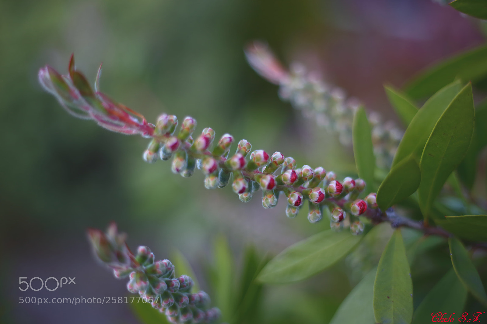 Canon EOS 6D sample photo. Untitled photography