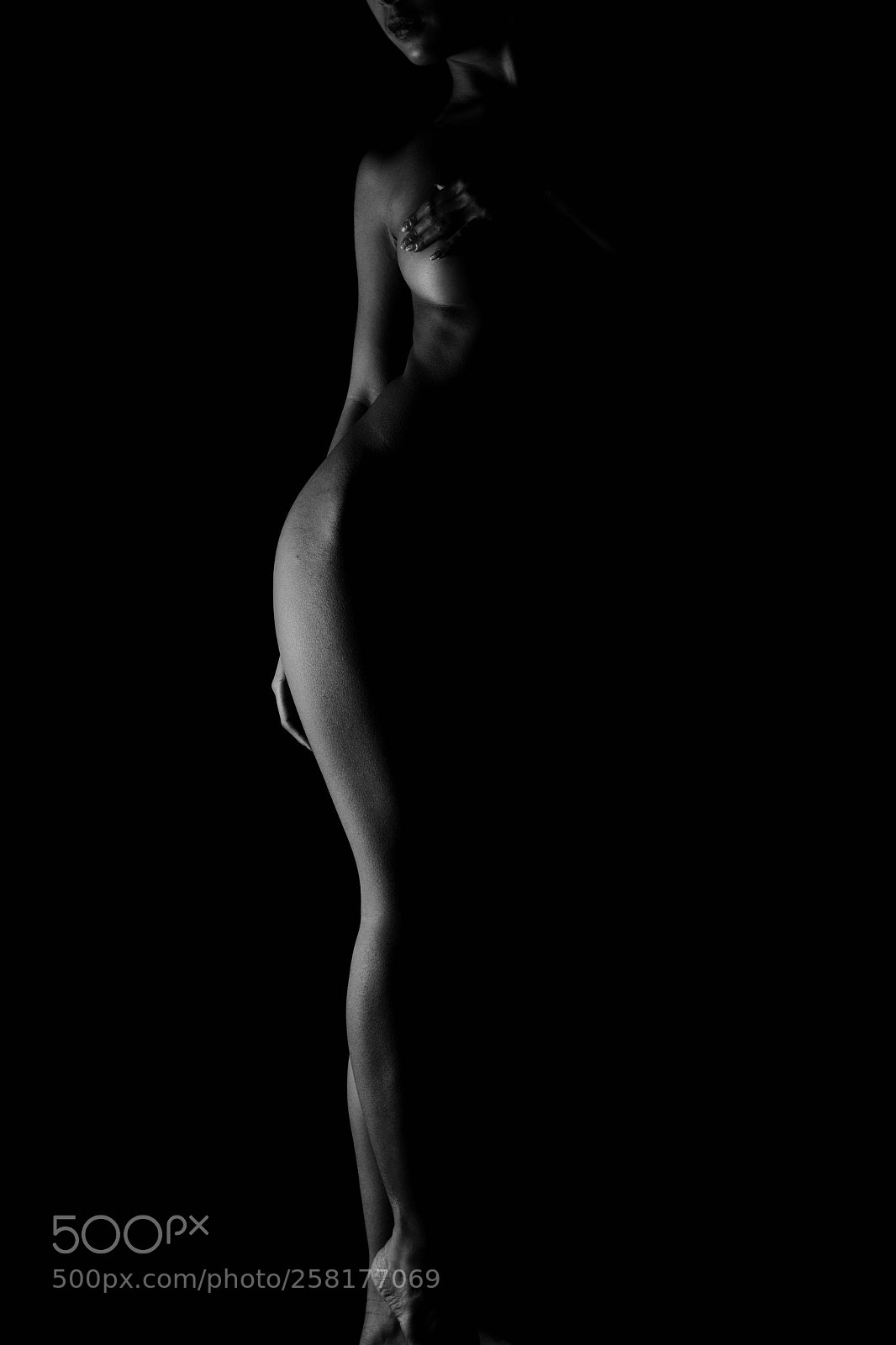 Nikon D850 sample photo. Curve photography