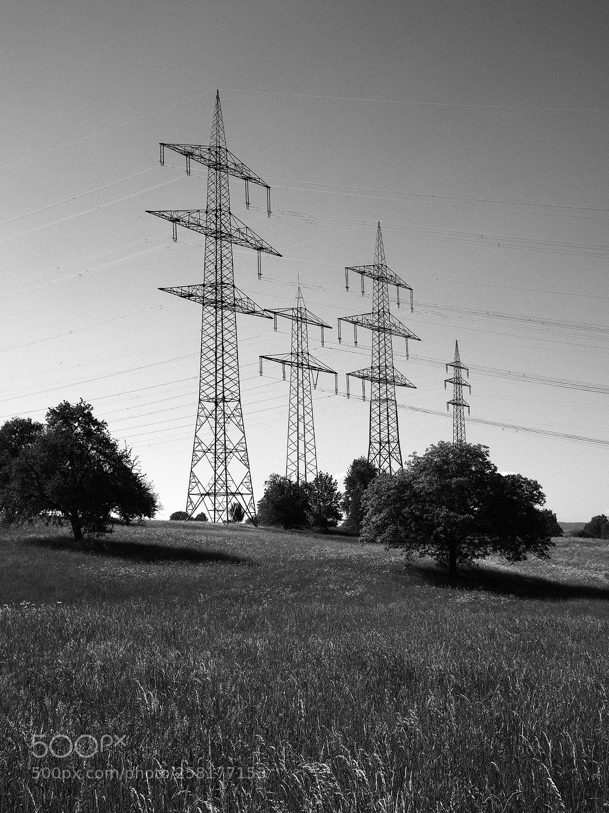 Olympus OM-D E-M10 II sample photo. In wehr. on top photography