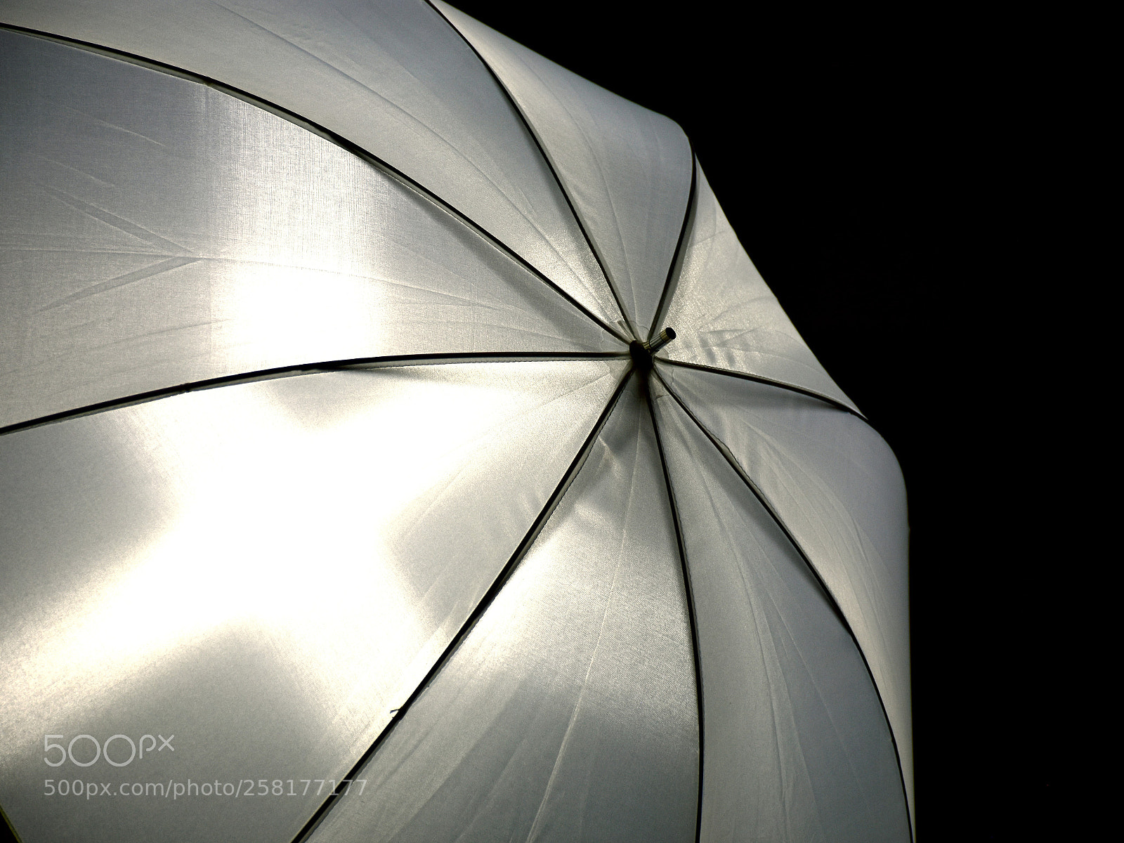 Nikon D7200 sample photo. Umbrella photography