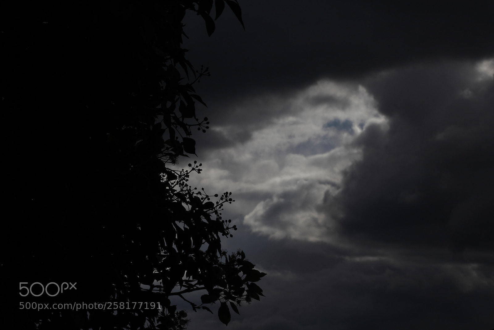 Canon EOS 5D Mark II sample photo. Ce soir je dors photography