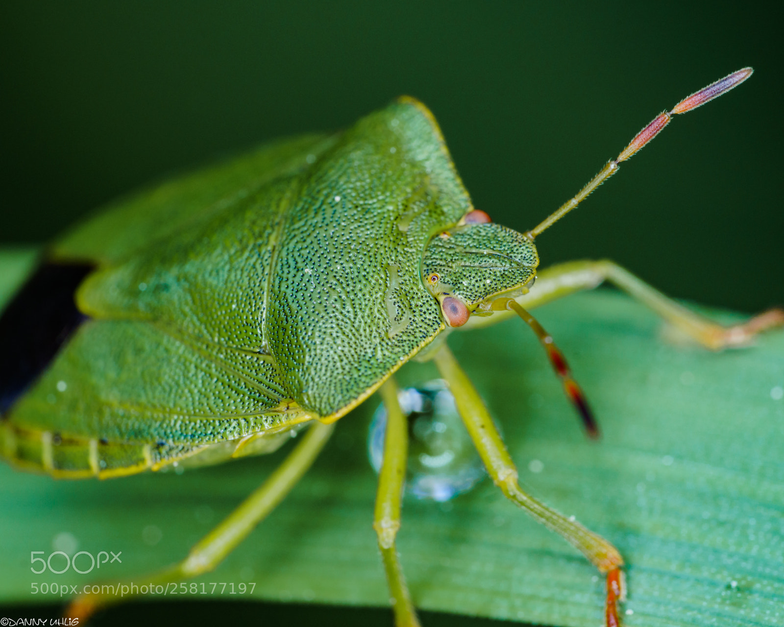 Sony a6300 sample photo. Dsc04801.jpg photography