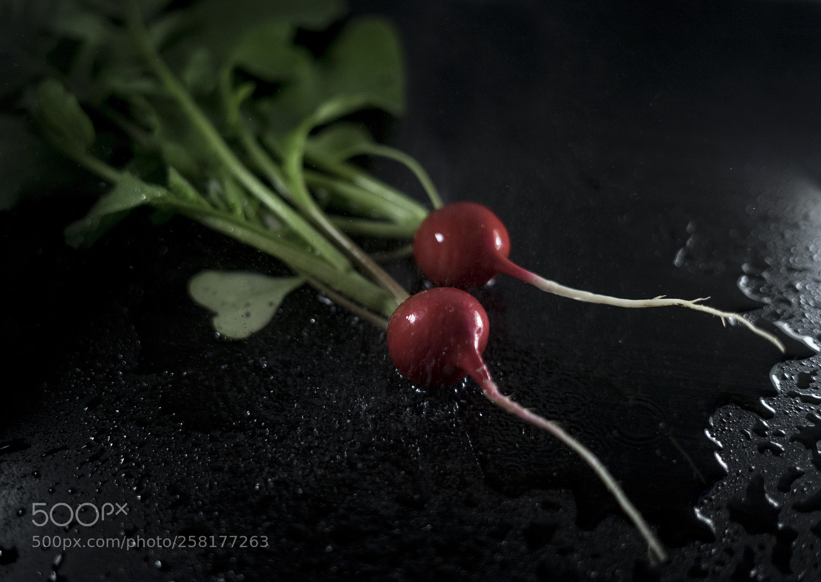 Sony a7 sample photo. Two radishes at black photography