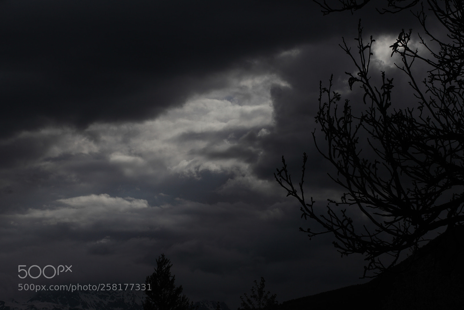 Canon EOS 5D Mark II sample photo. Nature en action photography