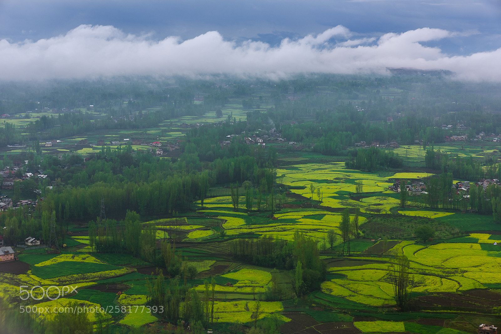 Nikon D810 sample photo. Meadows and mountains , kashmir 2018 photography