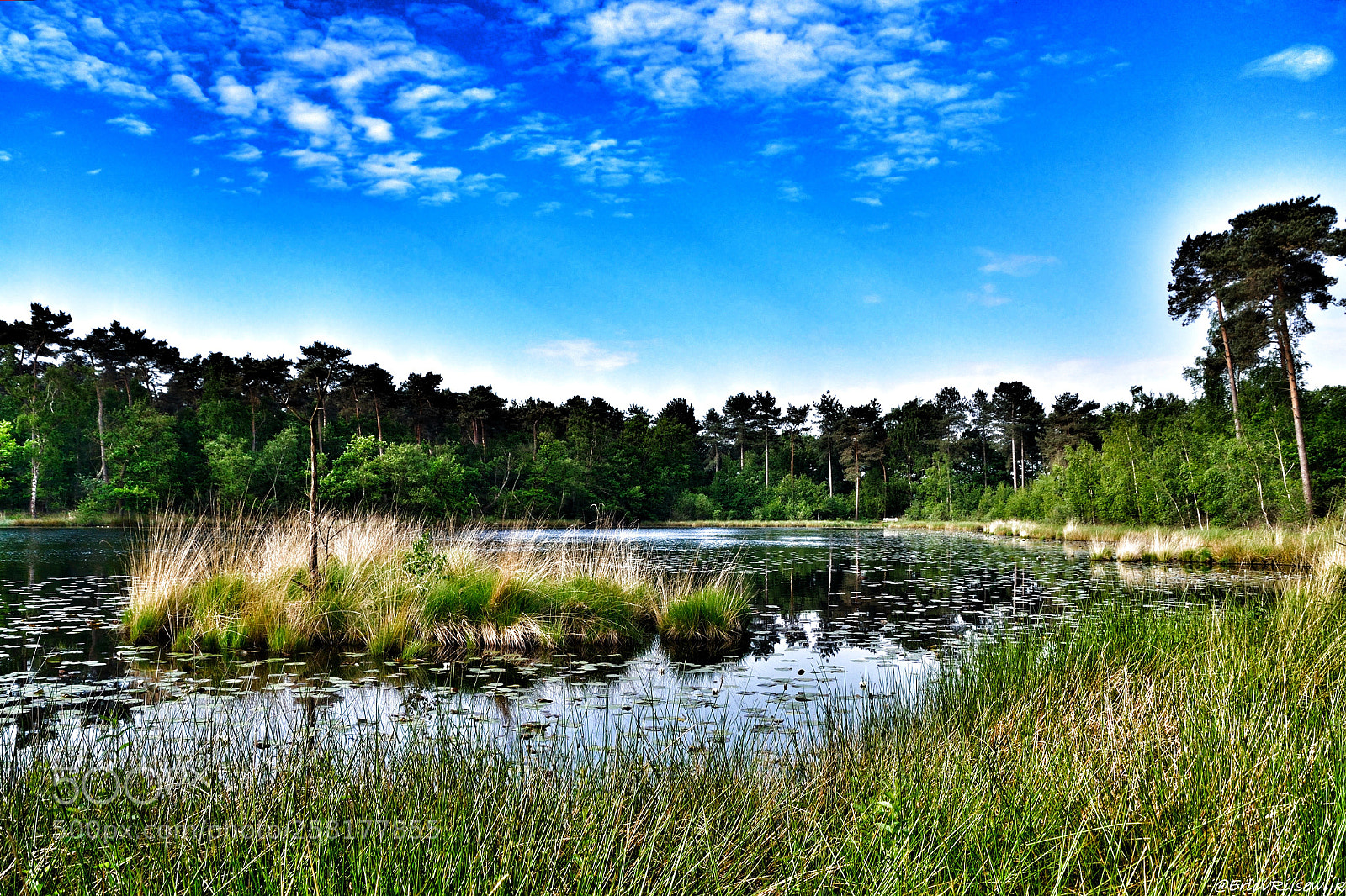 Nikon D3100 sample photo. Brandven photography
