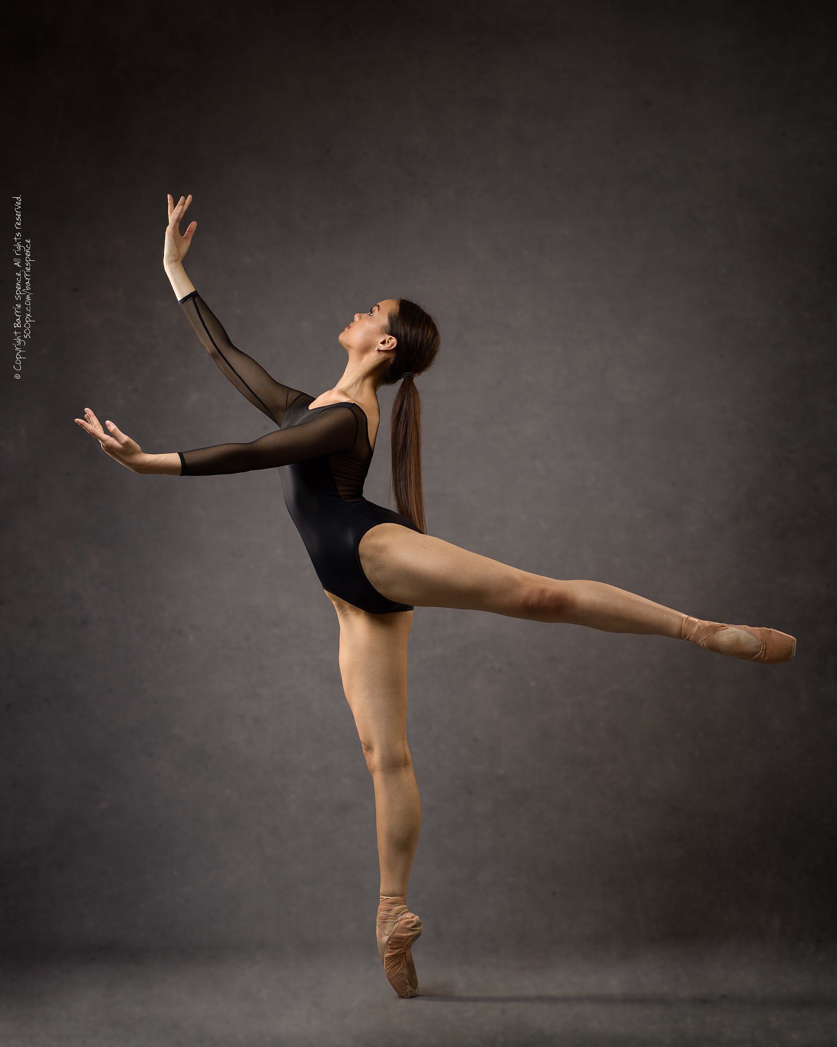 Hasselblad H6D-50C sample photo. Storm norris photography