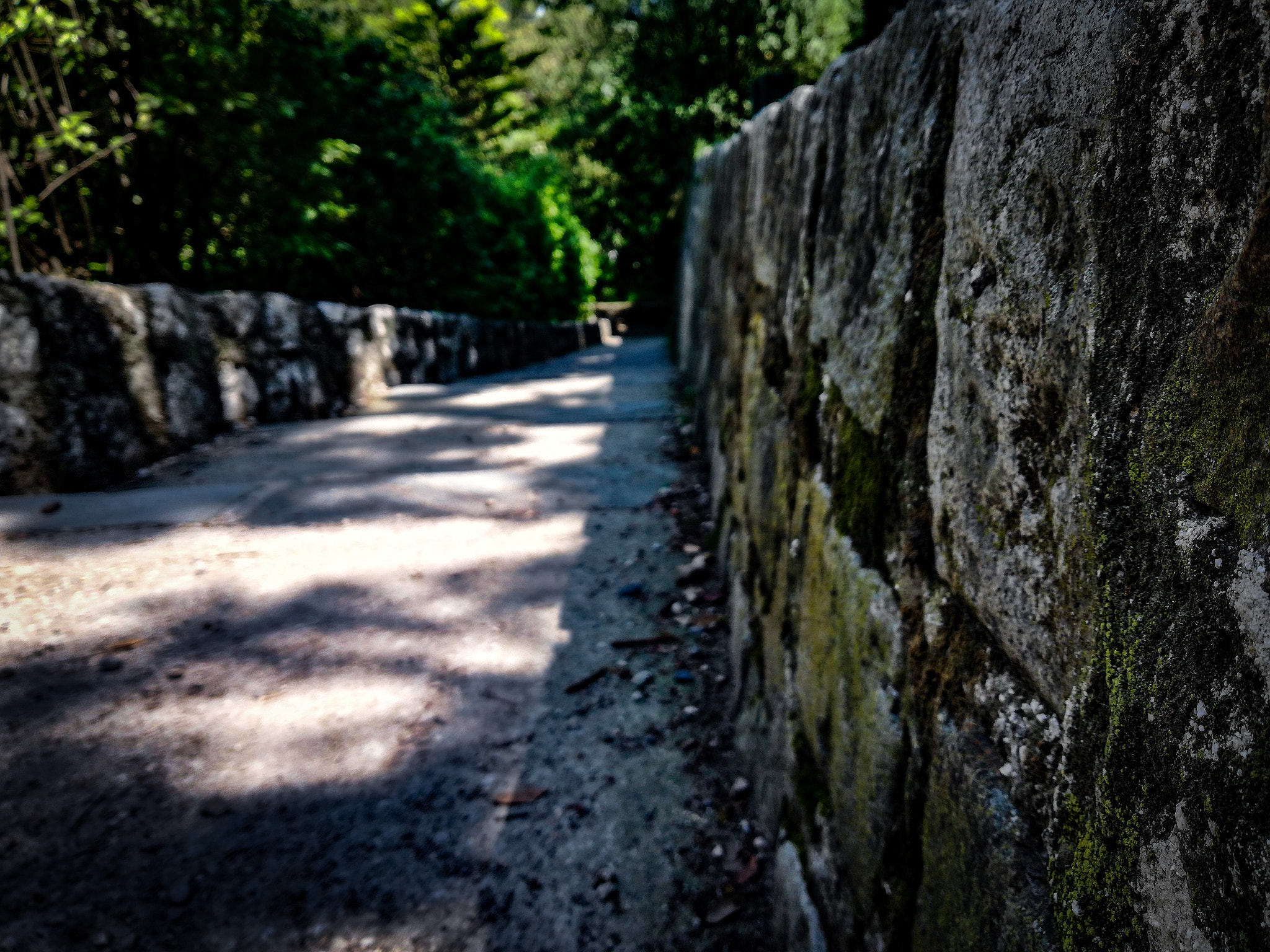 HUAWEI Honor 7X sample photo. Castle vi photography
