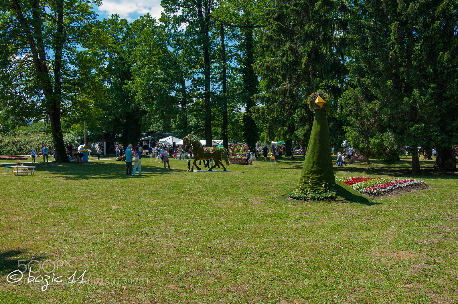 Nikon D90 sample photo. Park photography