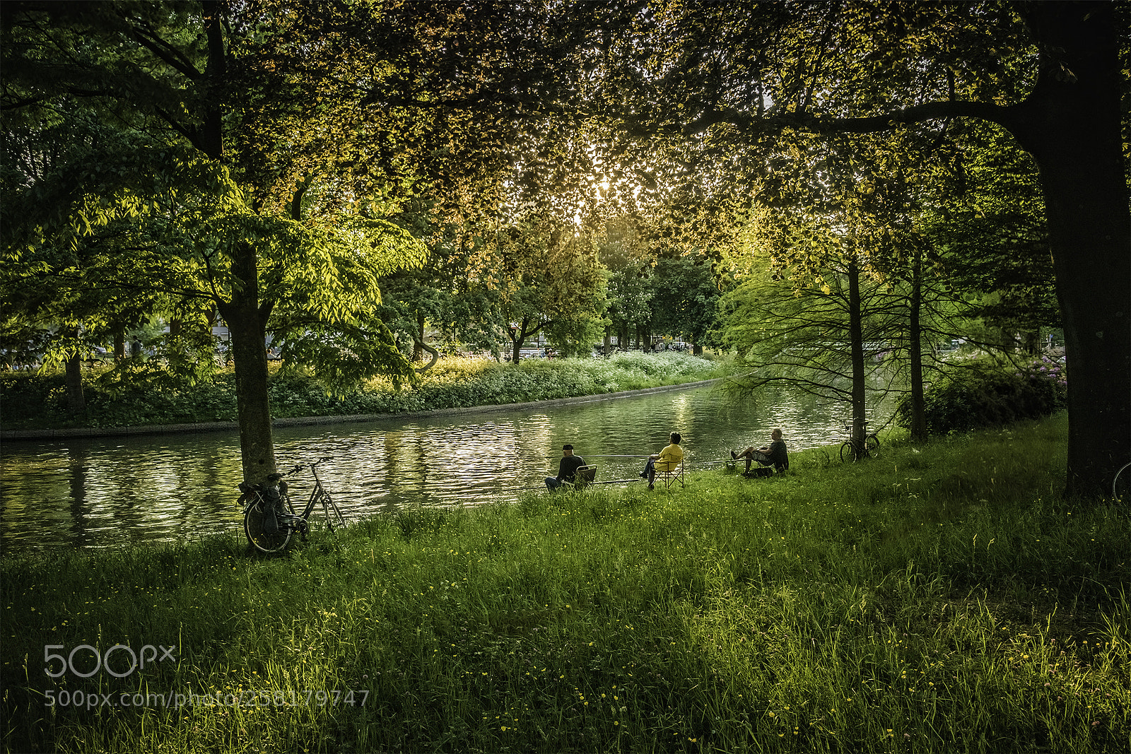 Sony ILCA-77M2 sample photo. Another spring evening in photography
