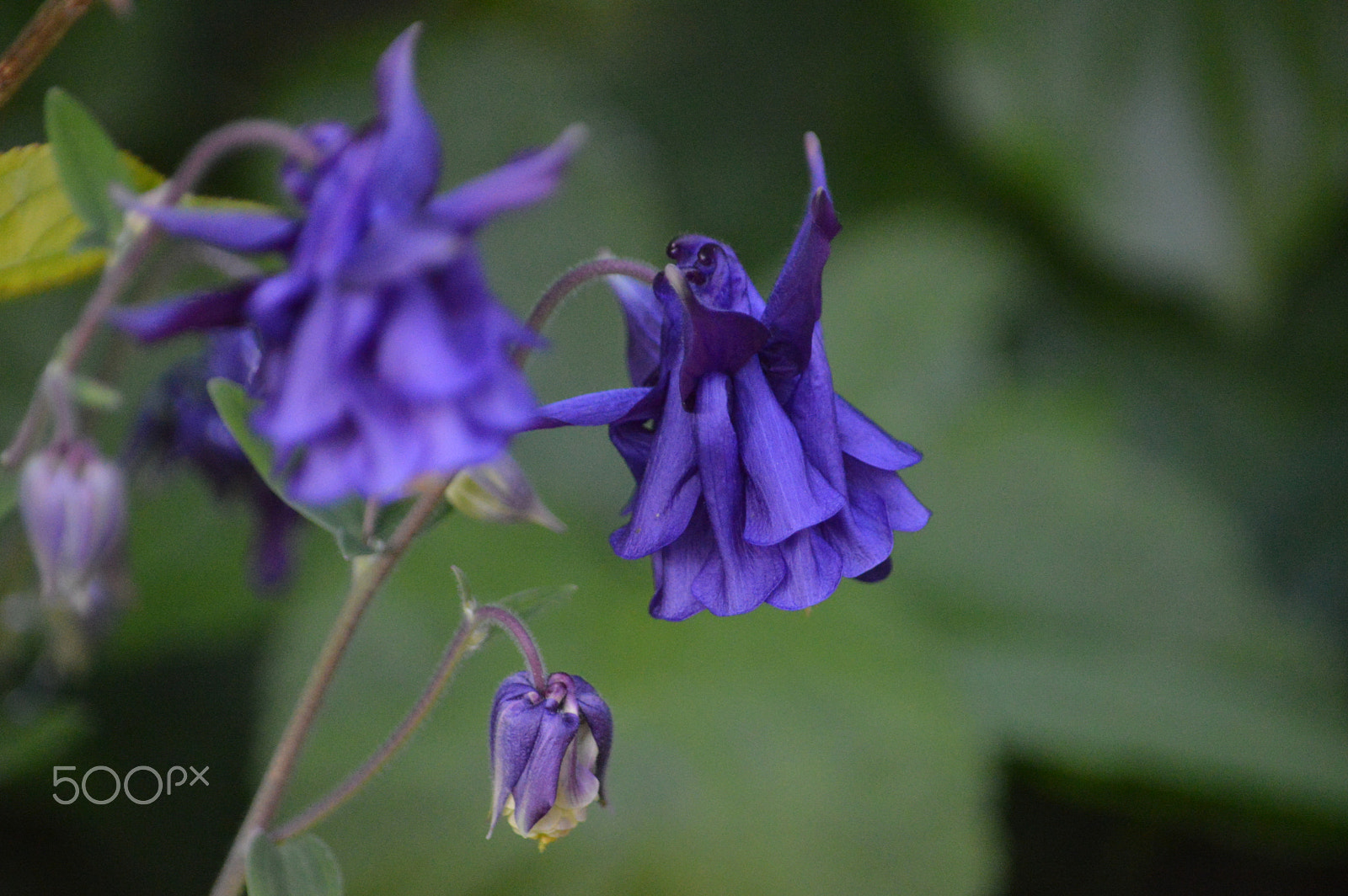 Nikon D3200 sample photo. Dsc photography
