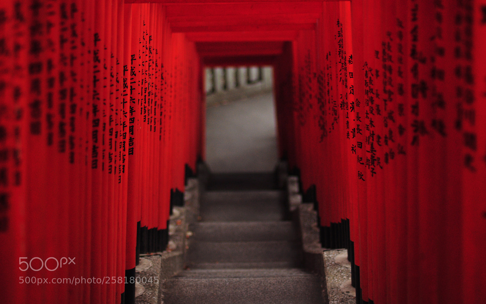 Nikon D90 sample photo. Hie shrine steps photography