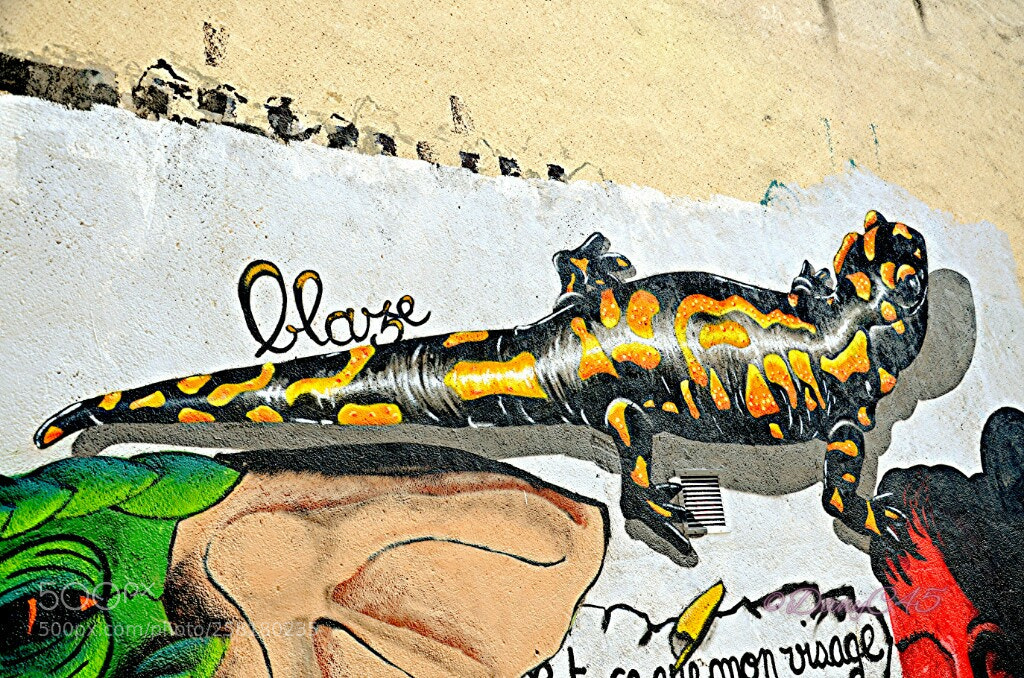 Nikon D5100 sample photo. 96 - orléans (france) photography