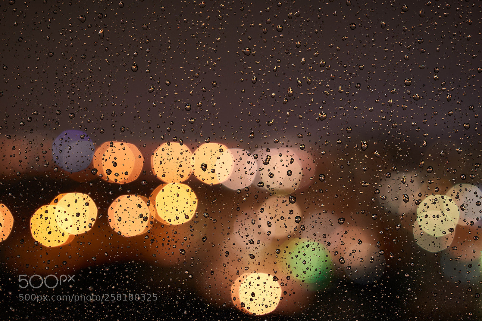 Nikon D800 sample photo. Night rain photography