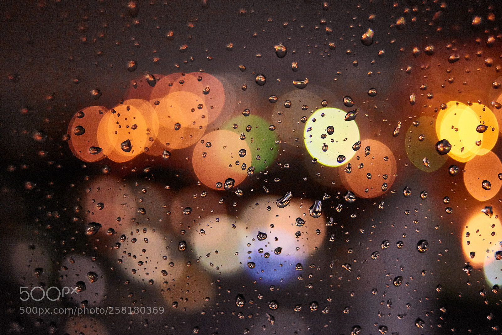 Nikon D800 sample photo. Night rain photography