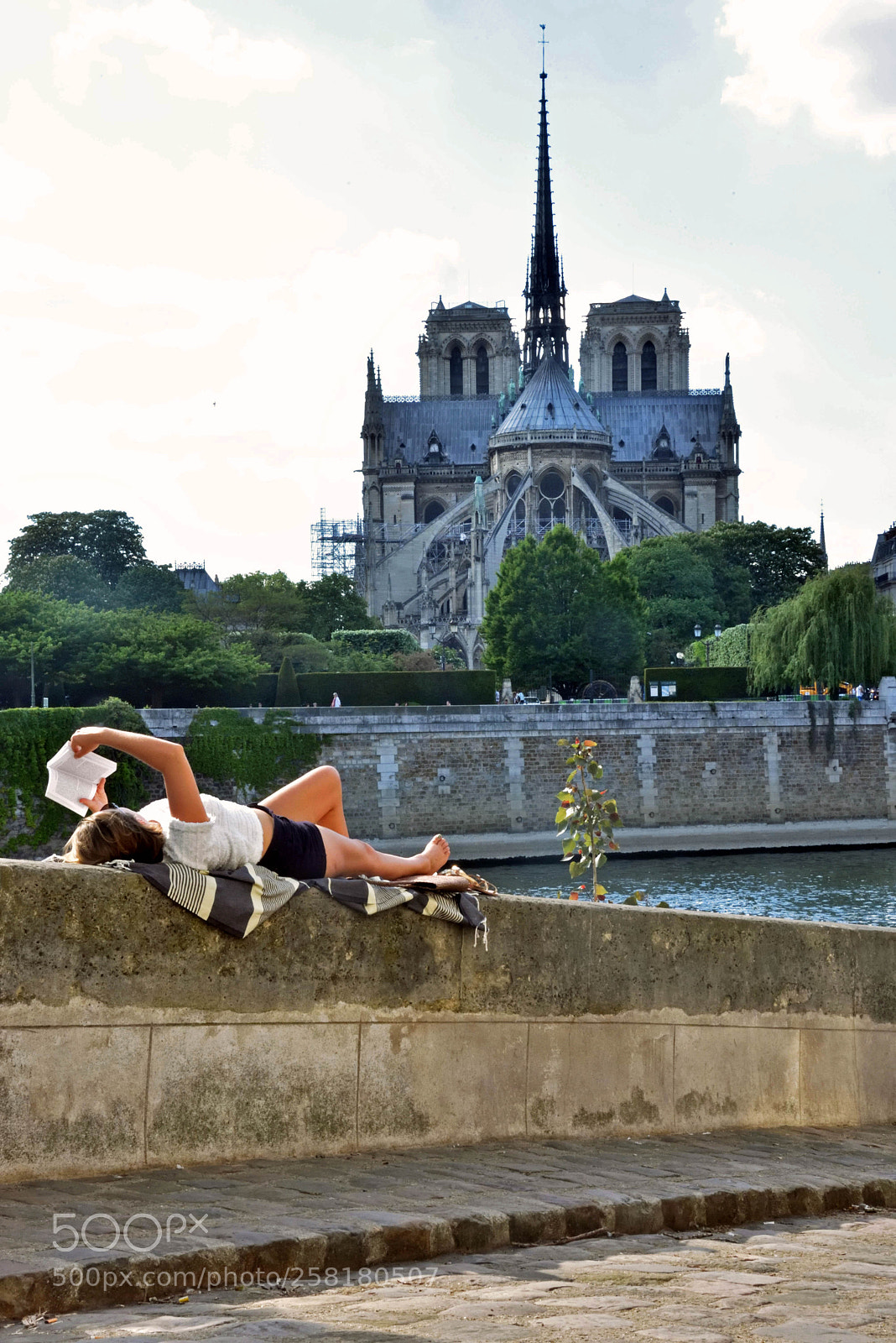 Nikon D750 sample photo. Bouquiner au soleil photography