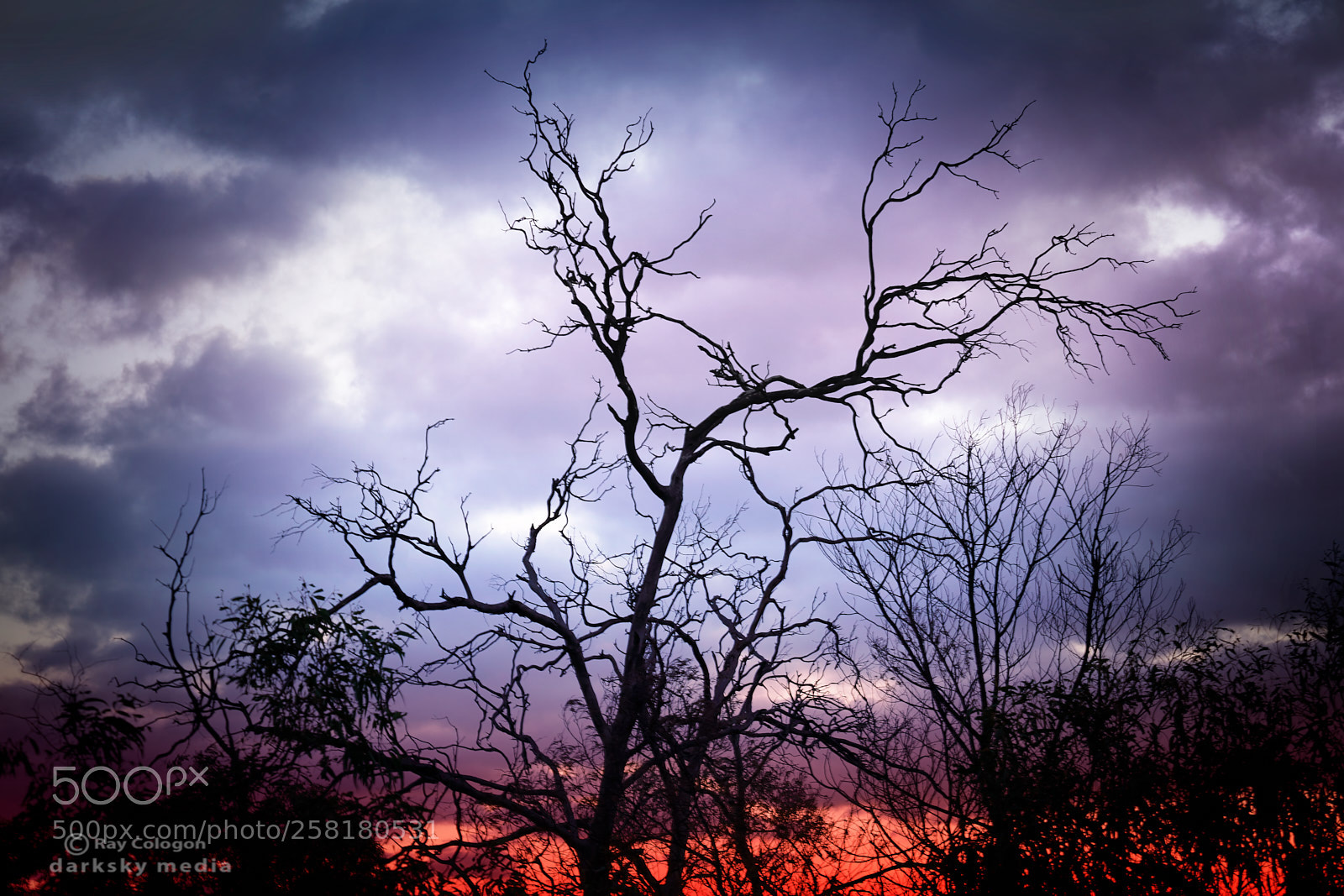 Sony a7R III sample photo. Black lightning photography