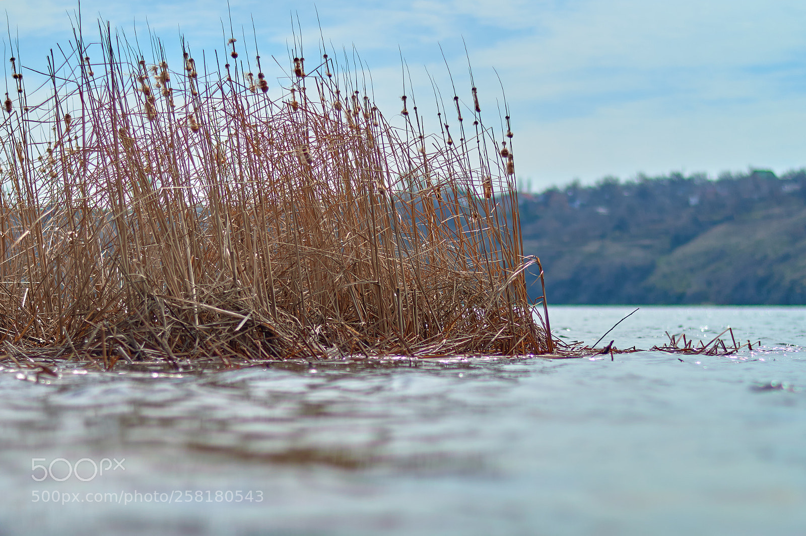 Nikon D3200 sample photo. Untitled photography