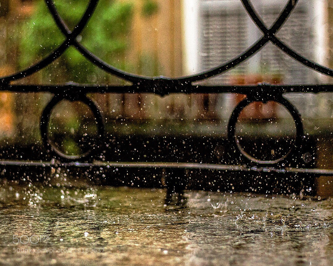 Canon EOS 50D sample photo. Untitled photography