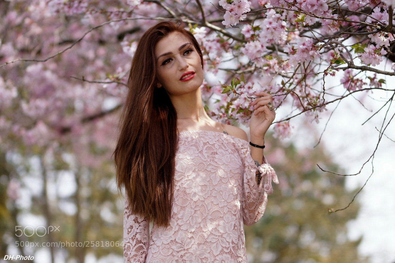 Sony ILCA-77M2 sample photo. Welcome springtime photography