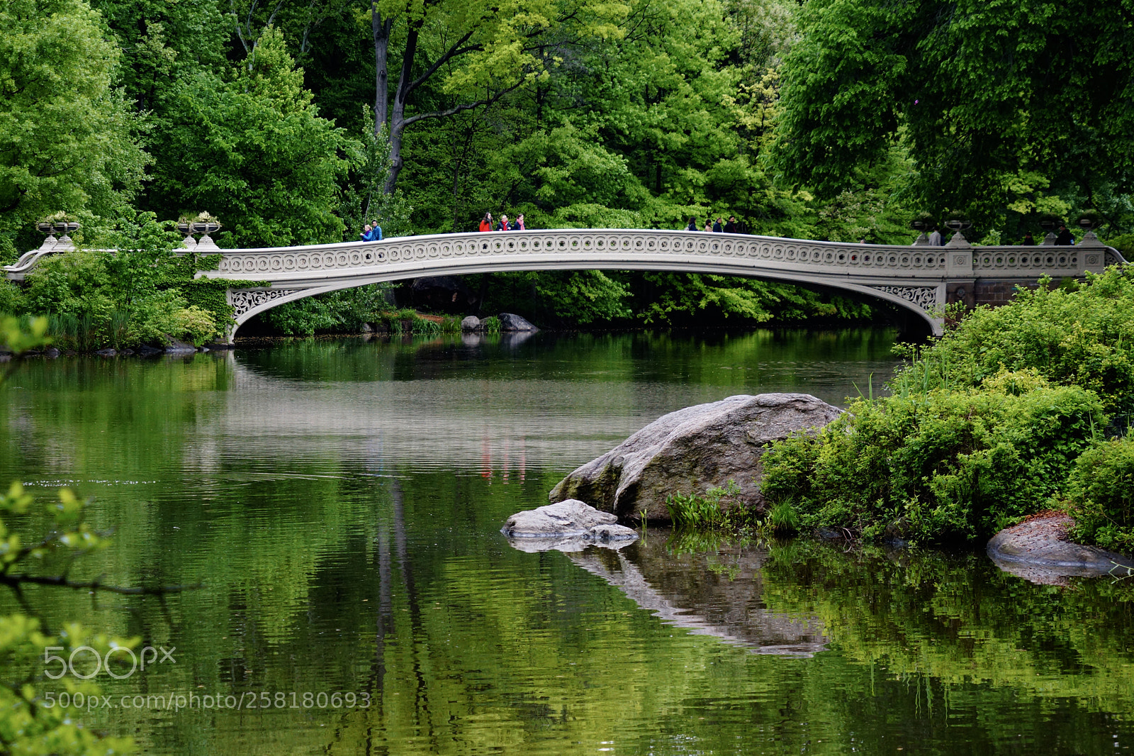 Sony Alpha NEX-7 sample photo. Bow bridge / central park photography