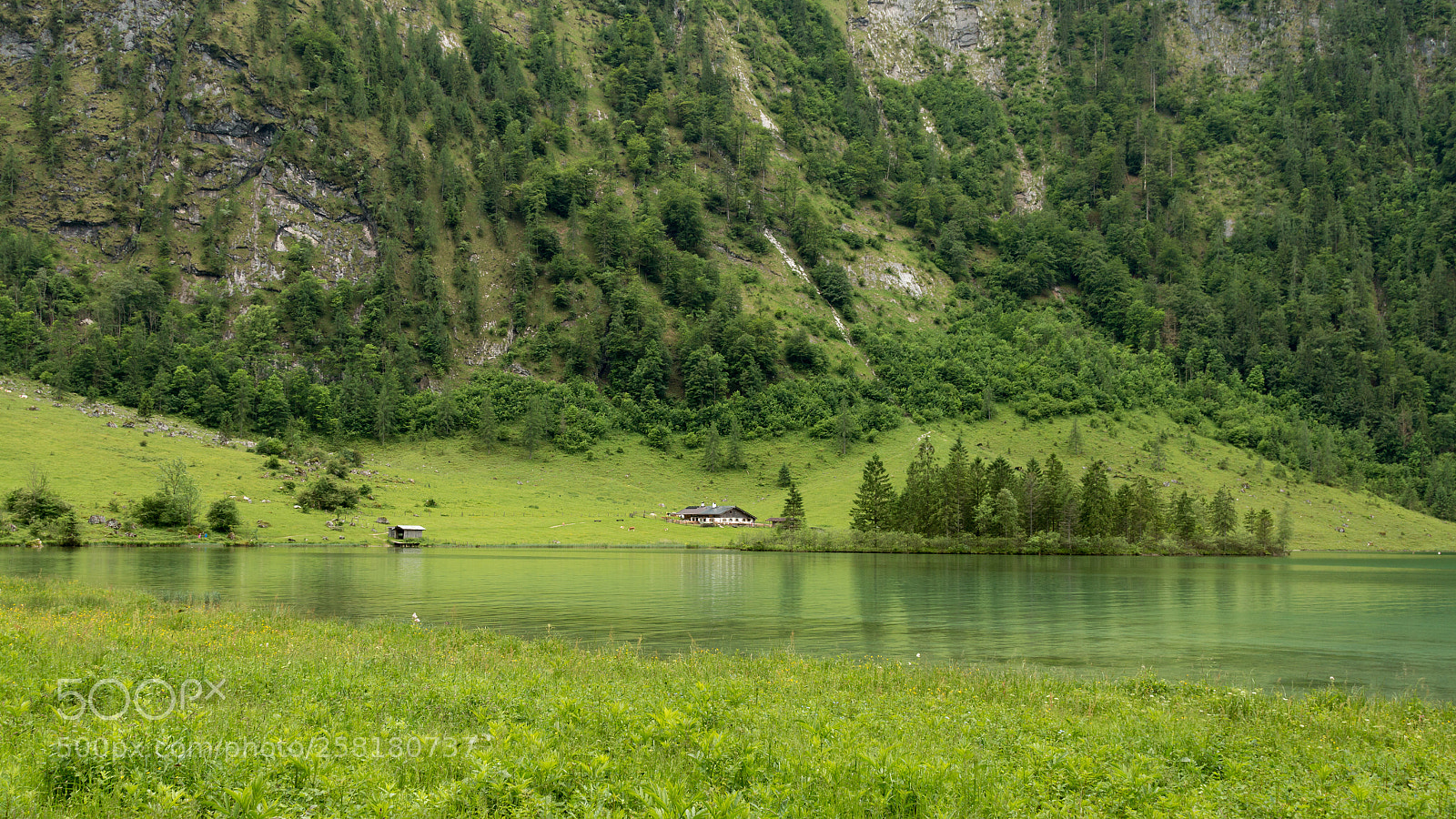 Canon EOS 70D sample photo. Alm photography