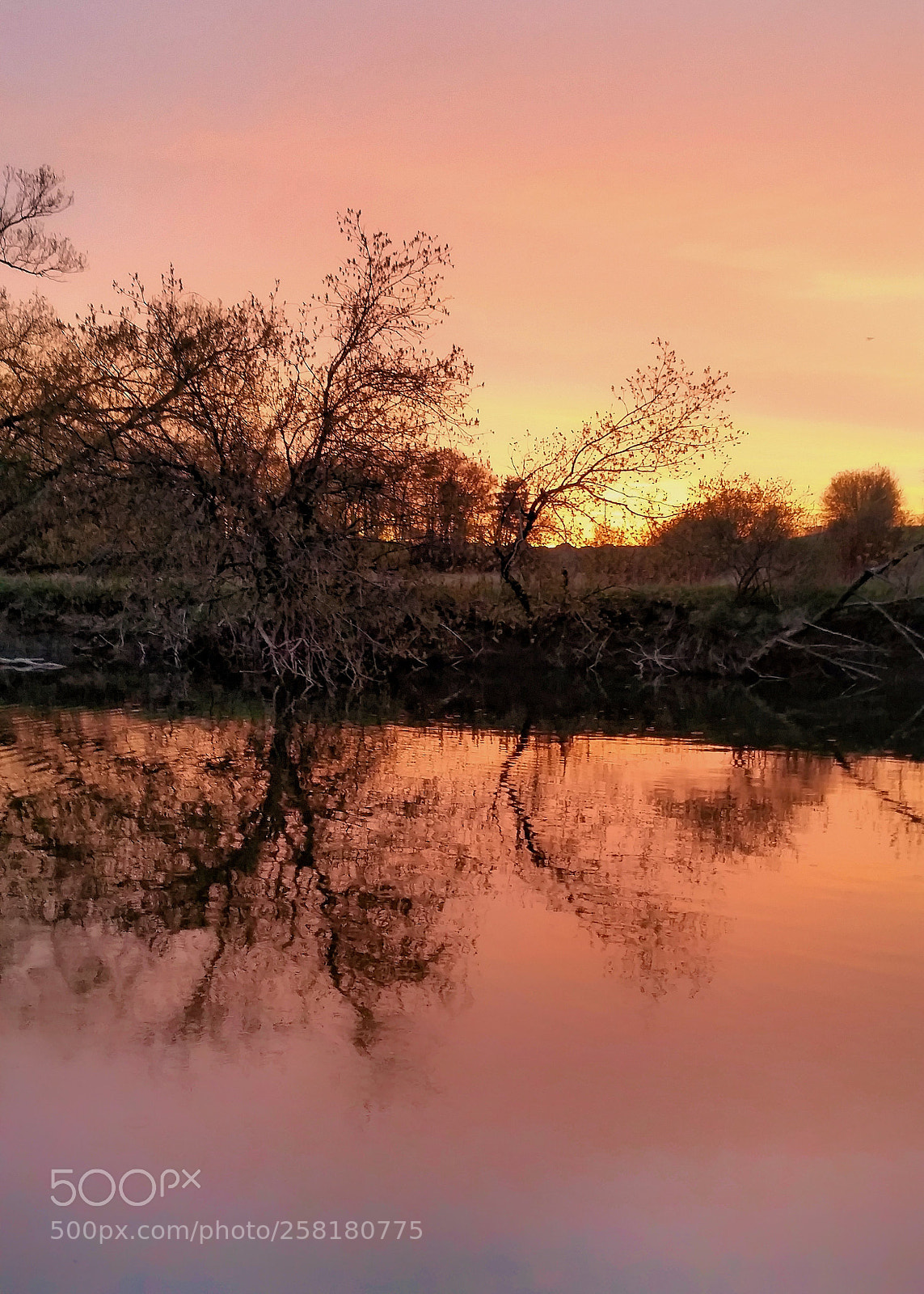 Samsung Galaxy S5 sample photo. Highland creek photography